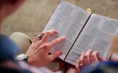 影视分类导航页面截图风格画面，年份、地区、类型三列筛选标签并排排列